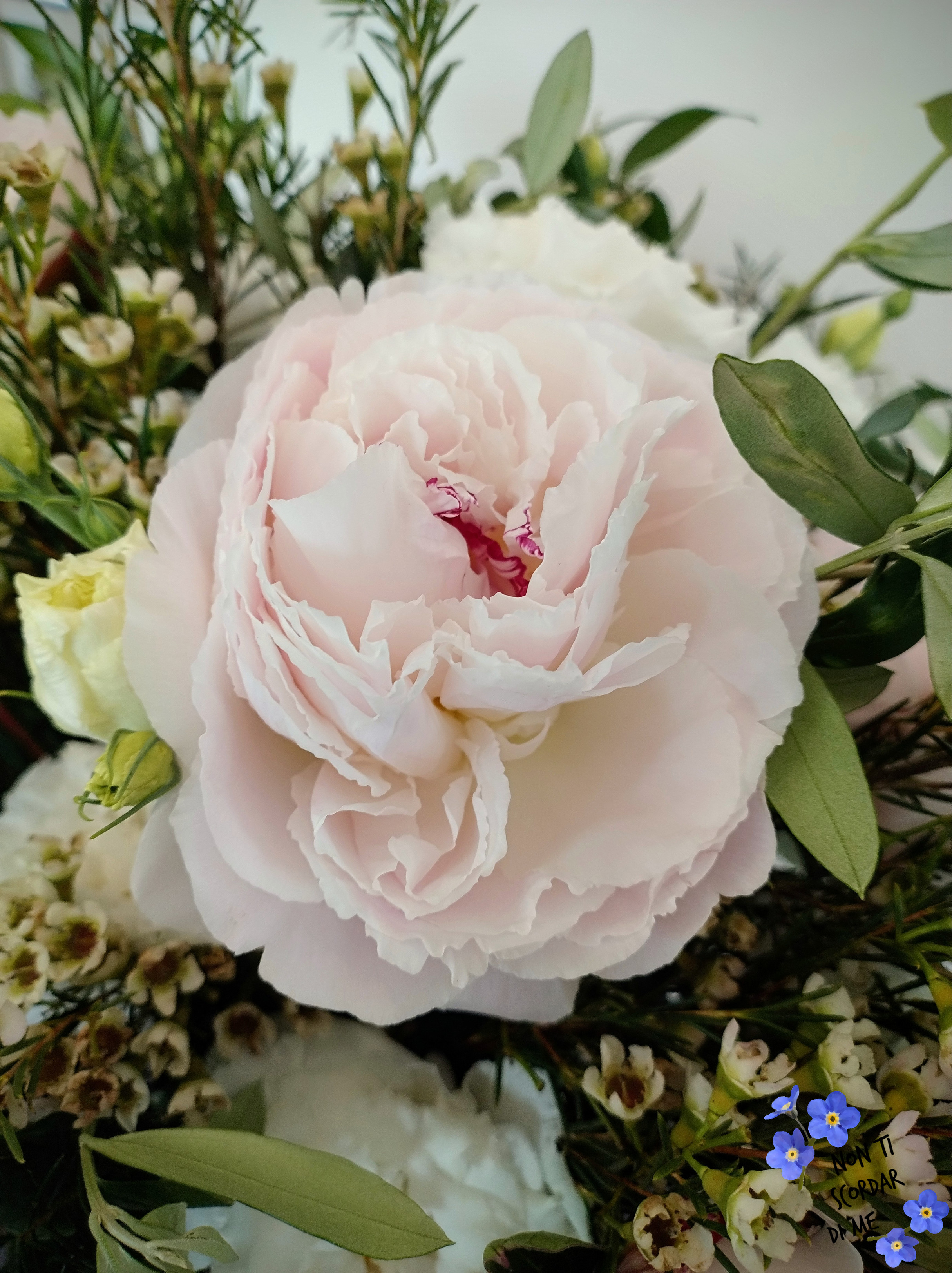 Foto Mazzi E Bouquet